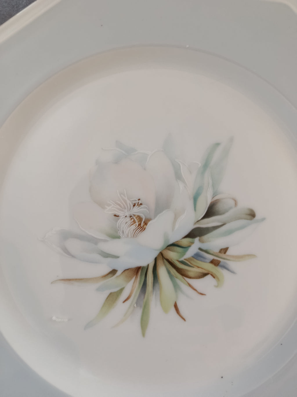 Ensemble Service x2 Assiettes Florales de Luxe en porcelaine de Limoges Art Deco Manufacture Royale Lavandou Neuves XXe collection