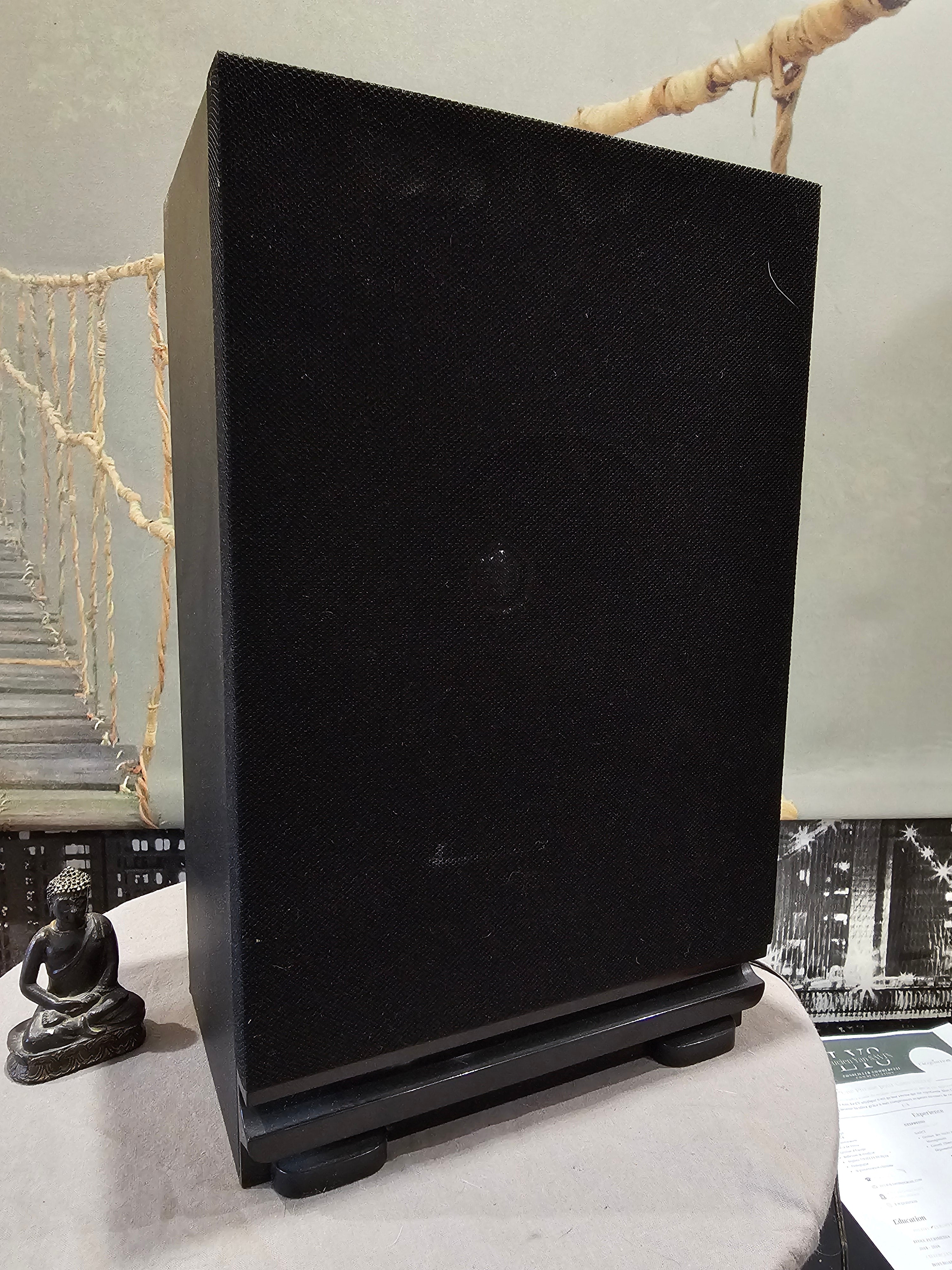 Ancienne enceinte Filaire Jack Hi Fi amplificateur Musicale Audio Sony Basses Originale Vintage XXe Collection