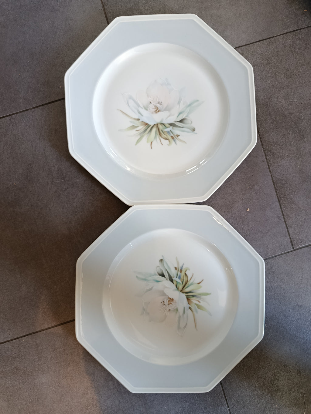 Ensemble Service x2 Assiettes Florales de Luxe en porcelaine de Limoges Art Deco Manufacture Royale Lavandou Neuves XXe collection